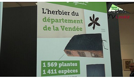 Zoom express du mercredi 13 septembre 2017 : ''La Nature fait sa Rentrée'' à La Roche sur Yon - ''Les Rendez..