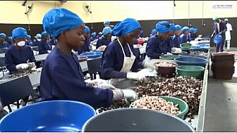 Film documentaire : Potentiels et Opportunit&eacute;s de la r&eacute;gion du Gb&egrave;k&ecirc;