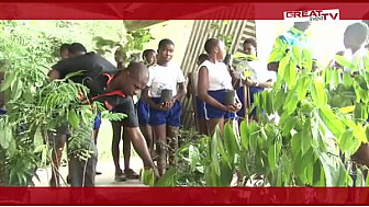 Les Journées Vertes: Le Lycée Sainte-Marie de Cocody sensibilise