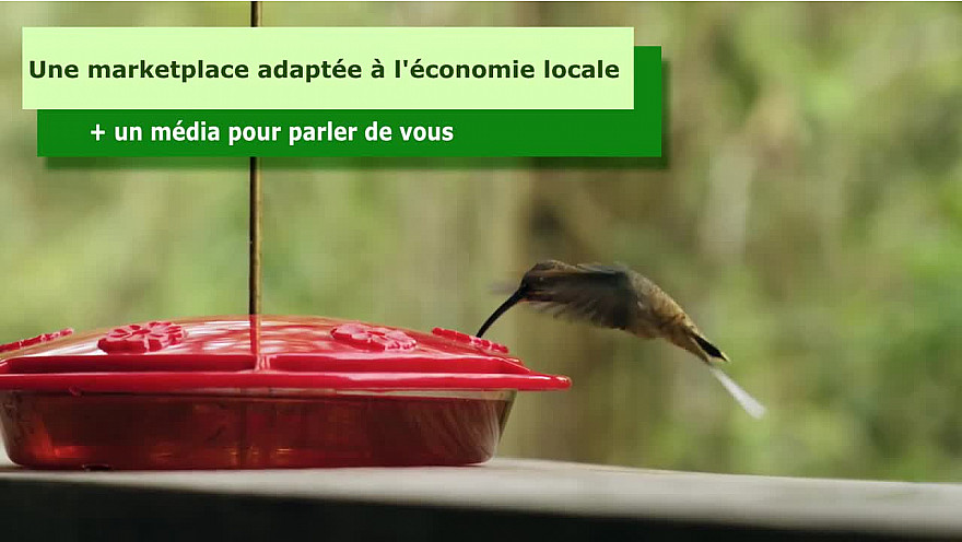 Marketplace Smartrezo : une solution contre les rideaux fermés. Ensemble nous pouvons faire bouger les lignes.